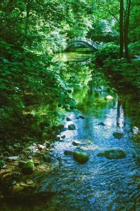 青蛙跳一跳