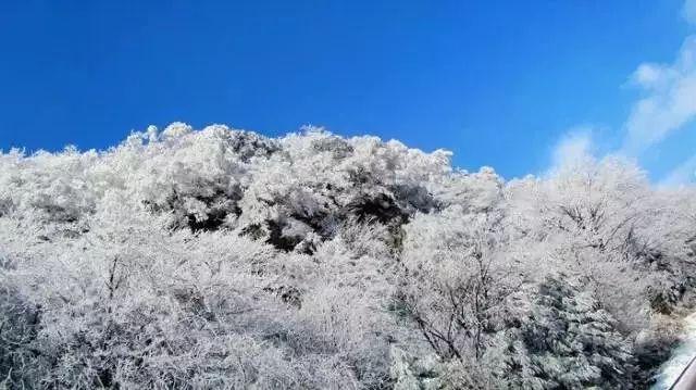 过期的茶叶还能喝吗？