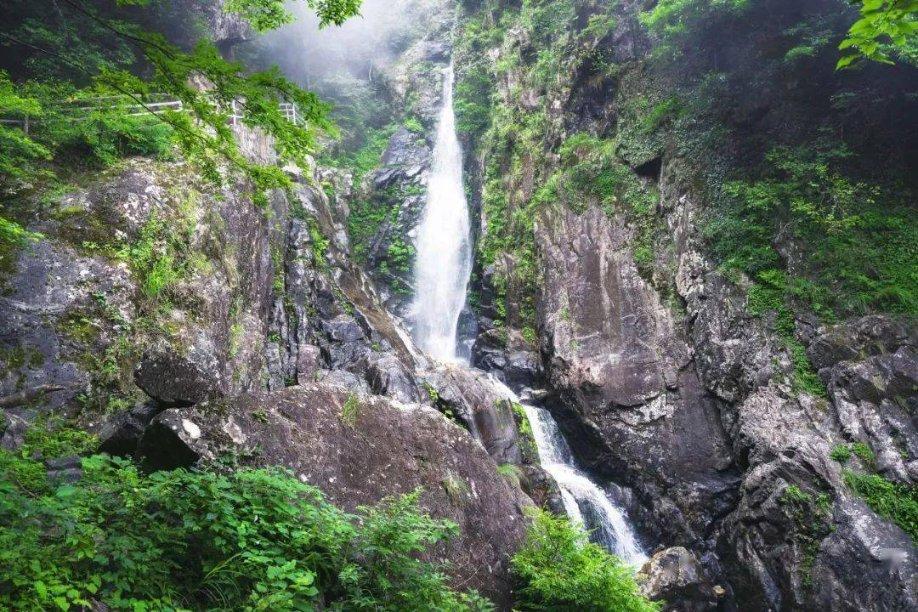 吉鹿力问答社区-
