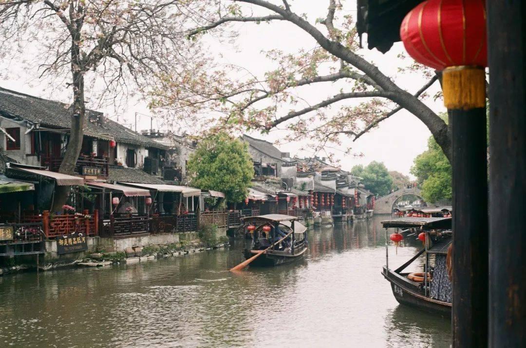 逃离危险禁地