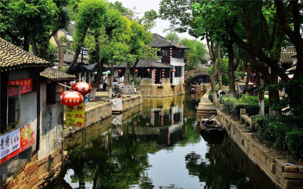 饥饿的松鼠救援