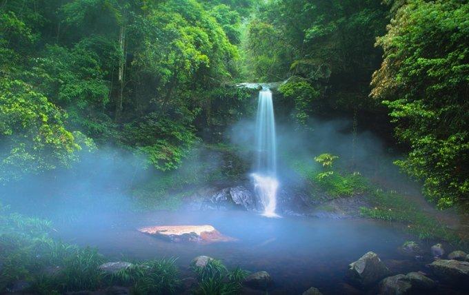 草莓在盆栽里种好还是在地里种好？游戏画面